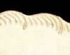 Feather Edged rim motif example