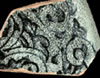 Floral, Precise rim motif example