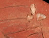 Inlaid and Incised surface decoration / decorative technique example
