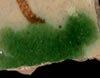Splotch rim motif example