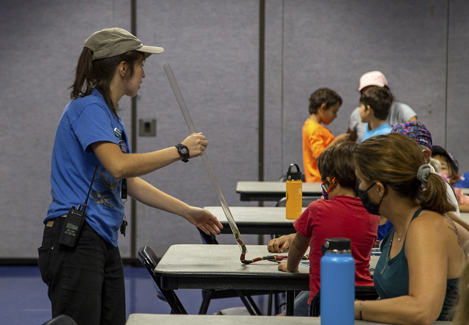 people at table with rubber tube and snake toy