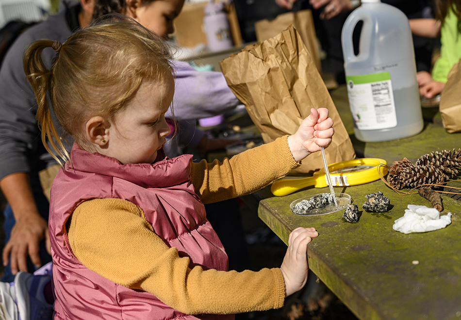 a child is sitting at a picnic table playing with pine cones and rocks and a shallow dish of water
