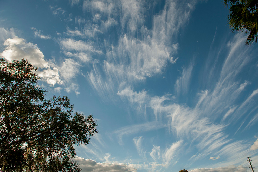 a windswept sky has whisps of clouds streaming off into the horizon and silhouettes of trees to the side