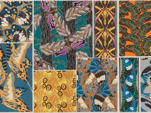 Several combined plates of moth and butterfly illustrations