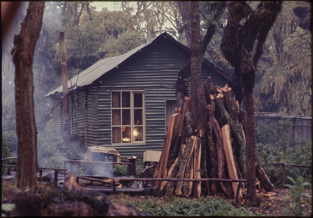 small cabin in woods, woman can be seen through the window